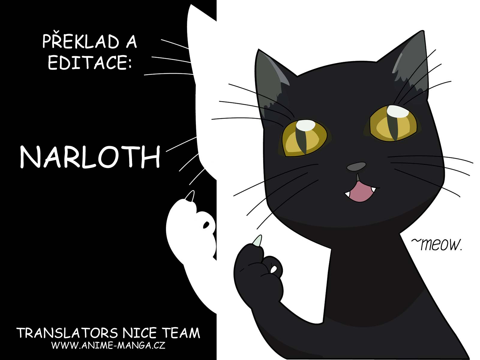 Yoruichi 1 kopie.jpg